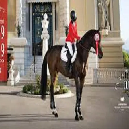 Apartamento Vue Mer.tranquilite.cap D'ail A 10 Mn De Monaco