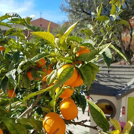 Vue Mer.tranquilite.cap D'ail A 10 Mn De Monaco Cap-d'Ail