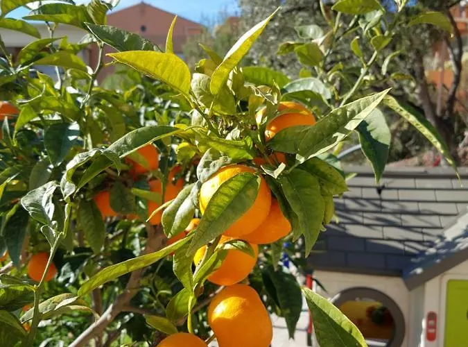 Vue Mer.tranquilité.cap D'ail à 10 Mn De Monaco Cap-d'Ail